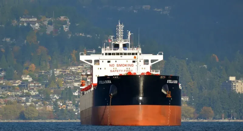 STELLA DORA Bulk Carrier IMO 9693769 photo 9