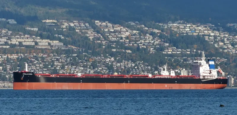 STELLA DORA Bulk Carrier IMO 9693769 photo 10