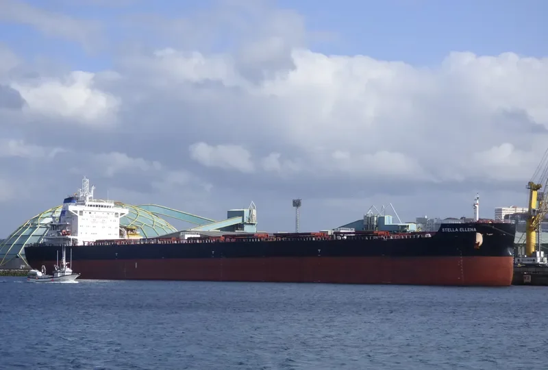 CL RIZHAO Bulk Carrier IMO 9693771 photo 2