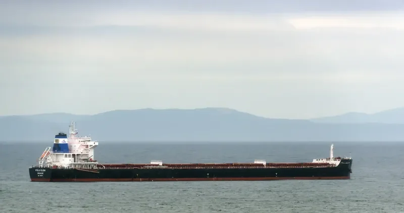 CL RIZHAO Bulk Carrier IMO 9693771 photo 9