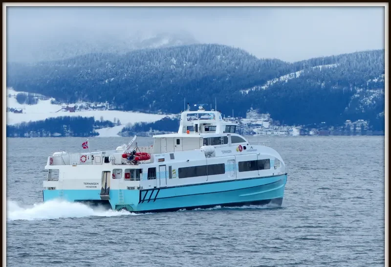 TERNINGEN Passenger Ship IMO 9693848 photo 6