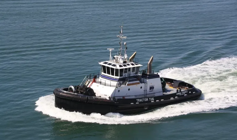 JAMIE RENEA General Cargo IMO 9694323