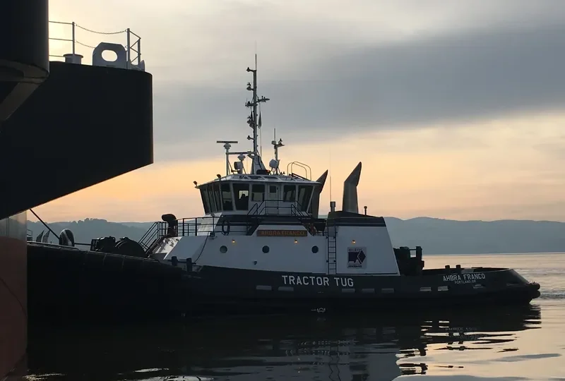 JAMIE RENEA General Cargo IMO 9694323 photo 2