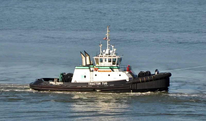 JAMIE RENEA General Cargo IMO 9694323 photo 4