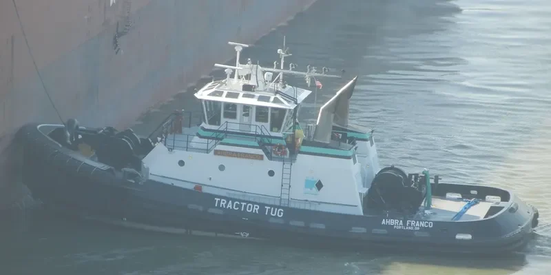 JAMIE RENEA General Cargo IMO 9694323 photo 5