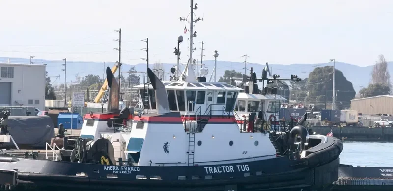 JAMIE RENEA General Cargo IMO 9694323 photo 8