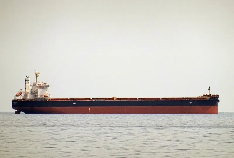 CYMONA PRIDE Bulk Carrier IMO 9694488 photo 2