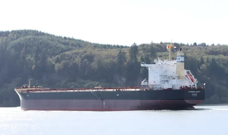CYMONA PRIDE Bulk Carrier IMO 9694488 photo 6