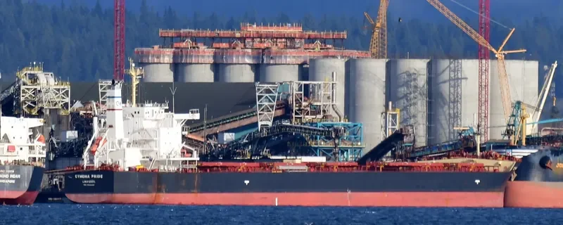 CYMONA PRIDE Bulk Carrier IMO 9694488 photo 8