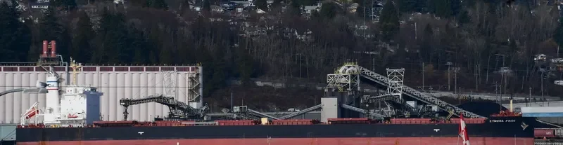 CYMONA PRIDE Bulk Carrier IMO 9694488 photo 9