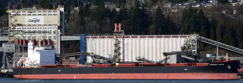 CYMONA PRIDE Bulk Carrier IMO 9694488 photo 10