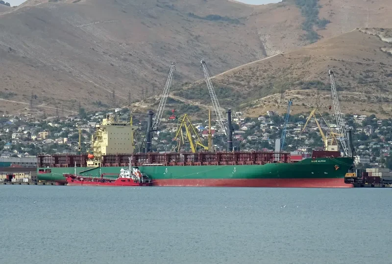 WIDE ALPHA Container Ship IMO 9694529