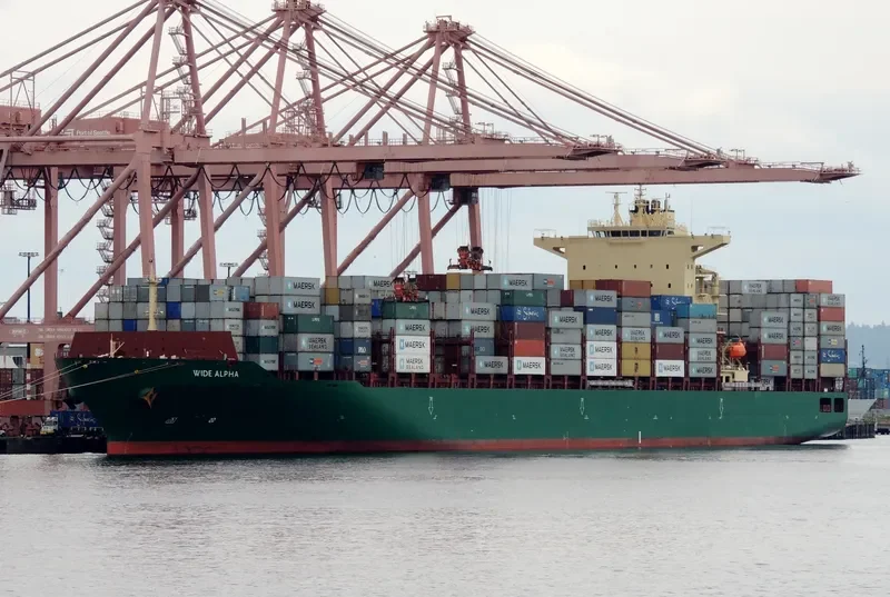 WIDE ALPHA Container Ship IMO 9694529 photo 8