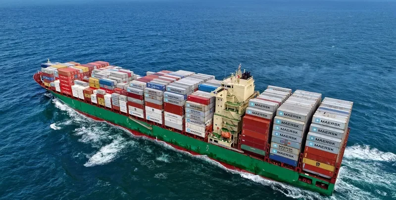 WIDE BRAVO Container Ship IMO 9694531