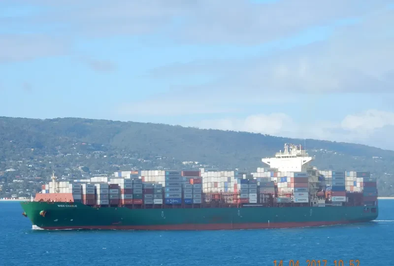 WIDE CHARLIE Container Ship IMO 9694543 photo 8