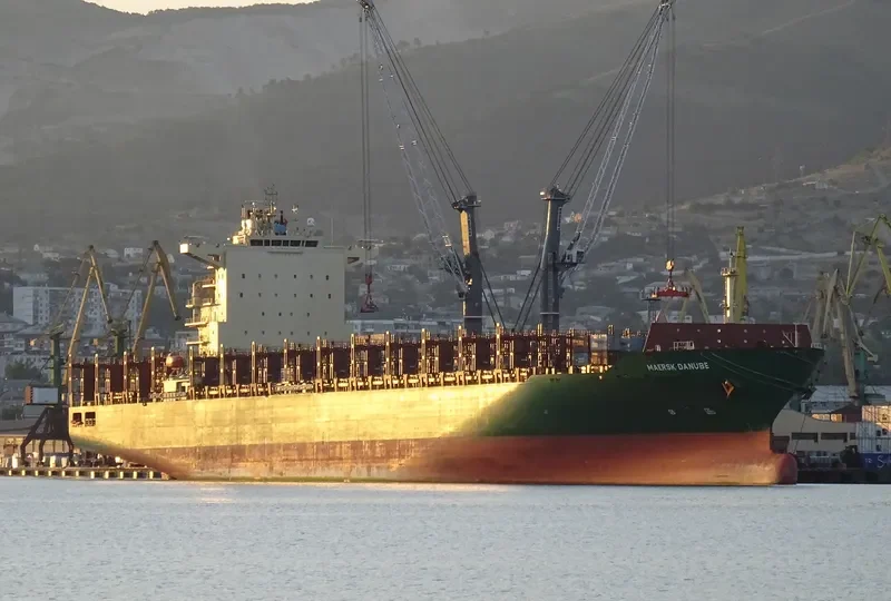 MAERSK DANUBE Container Ship IMO 9694579