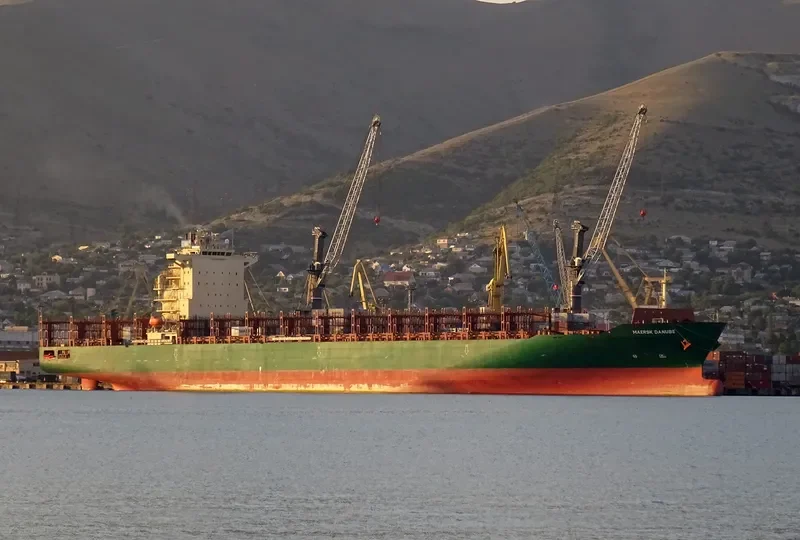 MAERSK DANUBE Container Ship IMO 9694579 photo 2