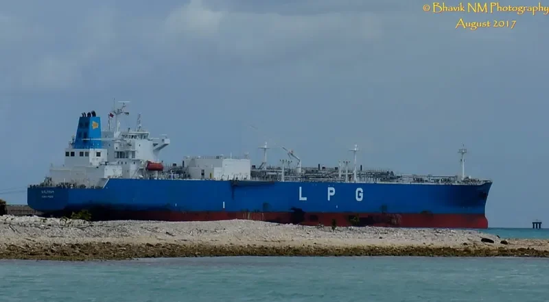 SALTRAM General Cargo IMO 9694622
