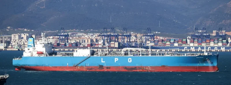 SALTRAM General Cargo IMO 9694622 photo 10