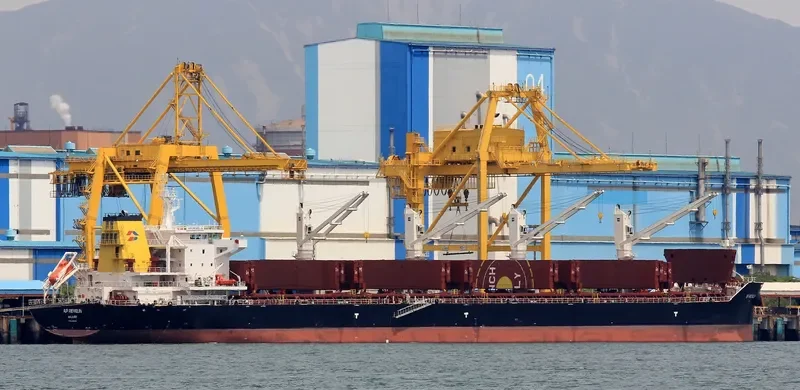 AP REVELIN Bulk Carrier IMO 9694696