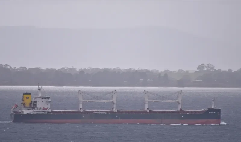 AP REVELIN Bulk Carrier IMO 9694696 photo 6