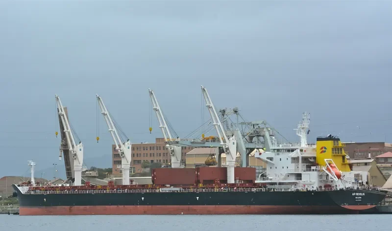 AP REVELIN Bulk Carrier IMO 9694696 photo 7