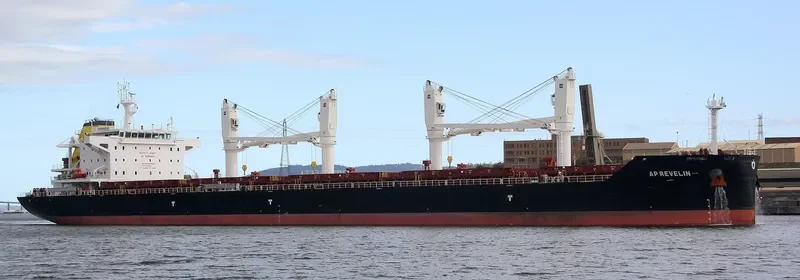 AP REVELIN Bulk Carrier IMO 9694696 photo 8