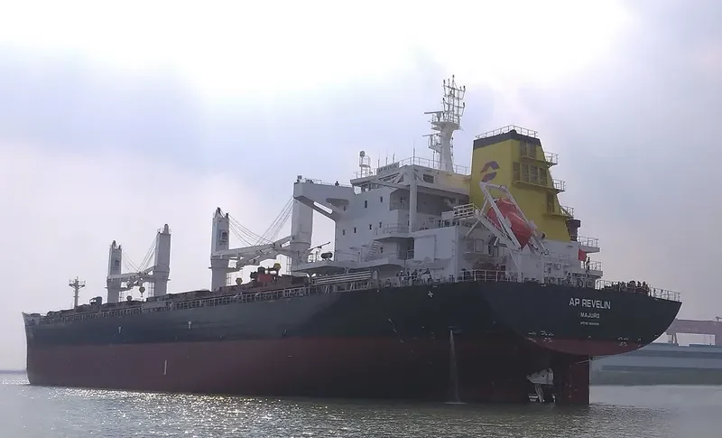 AP REVELIN Bulk Carrier IMO 9694696 photo 9