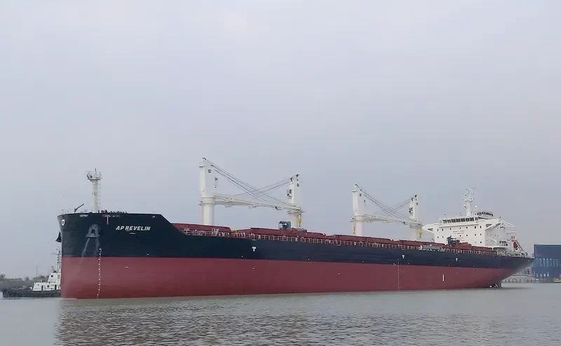 AP REVELIN Bulk Carrier IMO 9694696 photo 10