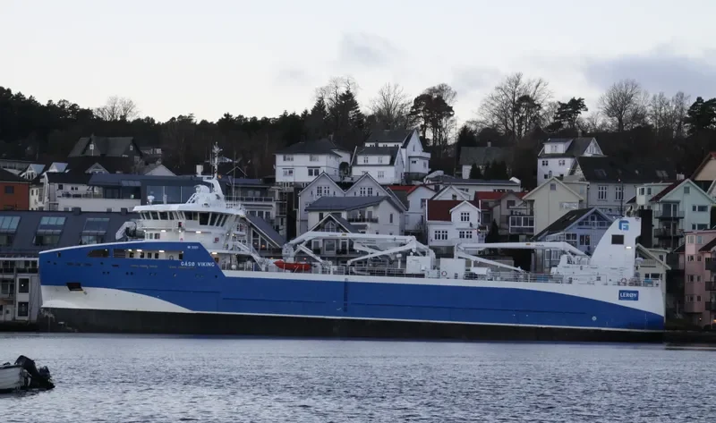 GAASOE VIKING General Cargo IMO 9694799