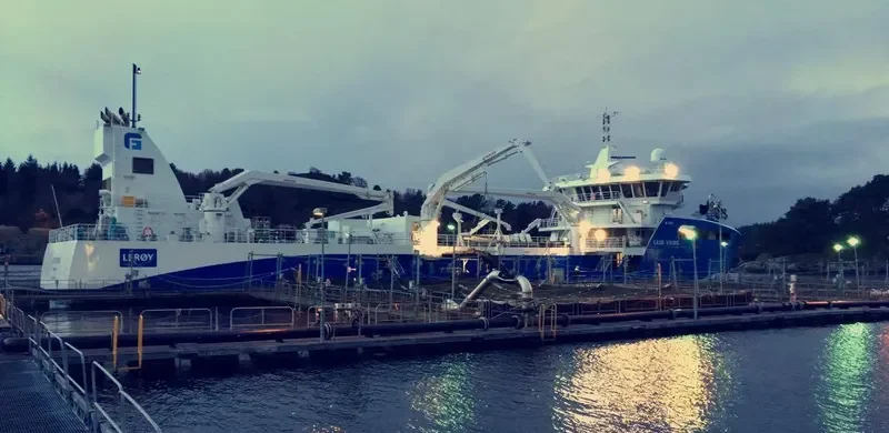 GAASOE VIKING General Cargo IMO 9694799 photo 2