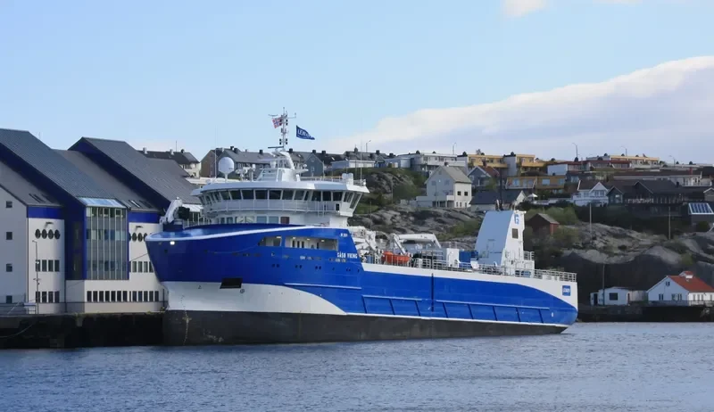 GAASOE VIKING General Cargo IMO 9694799 photo 4