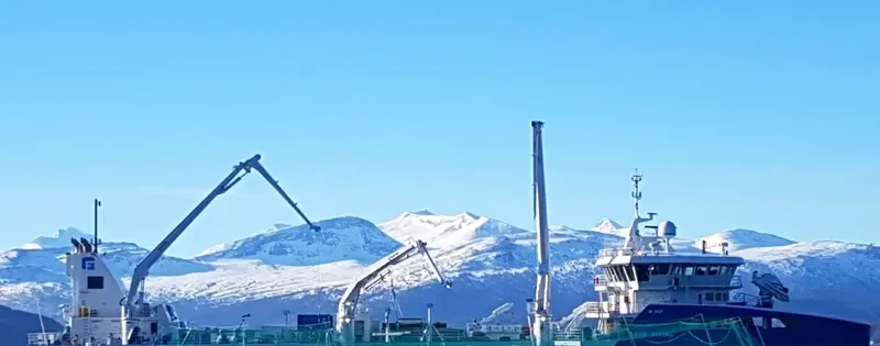 GAASOE VIKING General Cargo IMO 9694799 photo 5
