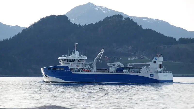 GAASOE VIKING General Cargo IMO 9694799 photo 9