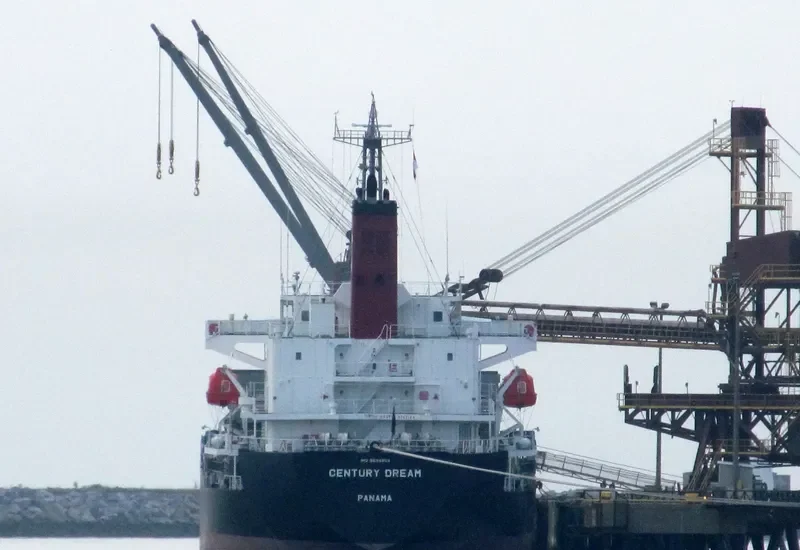 CENTURY DREAM Bulk Carrier IMO 9694854 photo 3