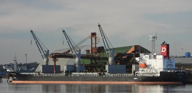 CENTURY DREAM Bulk Carrier IMO 9694854 photo 6