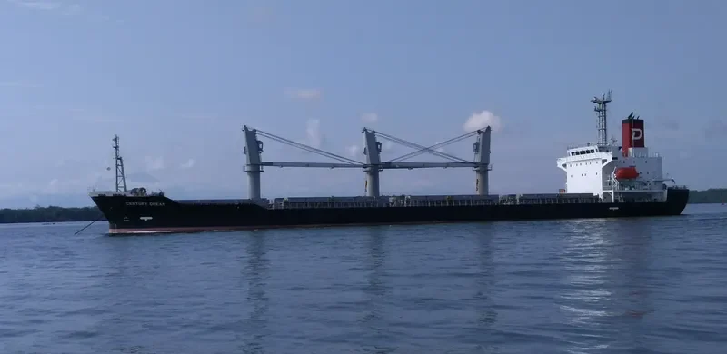 CENTURY DREAM Bulk Carrier IMO 9694854 photo 7