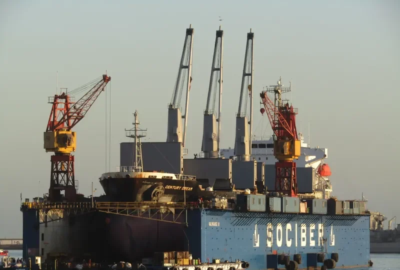 CENTURY DREAM Bulk Carrier IMO 9694854 photo 9
