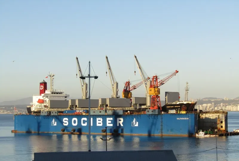 CENTURY DREAM Bulk Carrier IMO 9694854 photo 10