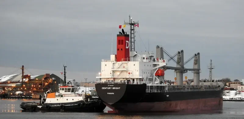 CENTURY BRIGHT Bulk Carrier IMO 9694866 photo 2