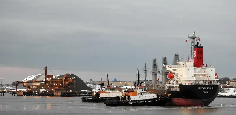 CENTURY BRIGHT Bulk Carrier IMO 9694866 photo 3