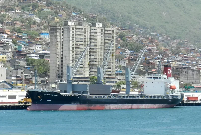 CENTURY BRIGHT Bulk Carrier IMO 9694866 photo 6