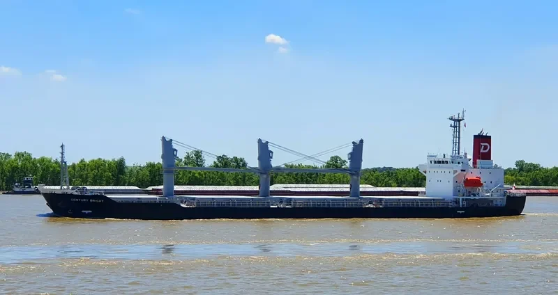 CENTURY BRIGHT Bulk Carrier IMO 9694866 photo 8