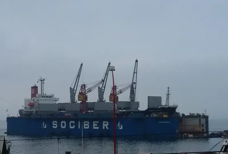 CENTURY BRIGHT Bulk Carrier IMO 9694866 photo 10