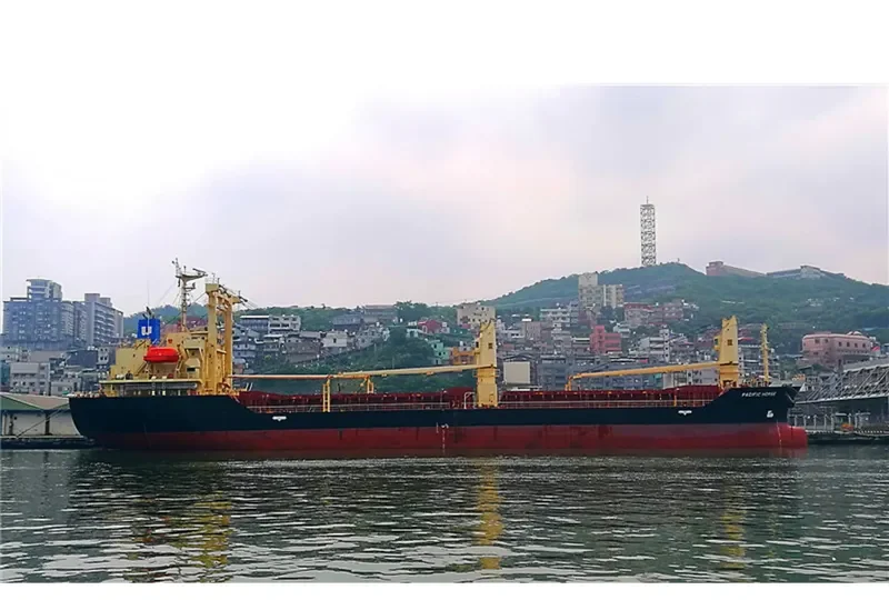 PACIFIC HORSE General Cargo IMO 9694878