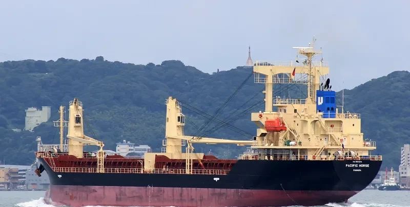 PACIFIC HORSE General Cargo IMO 9694878 photo 5