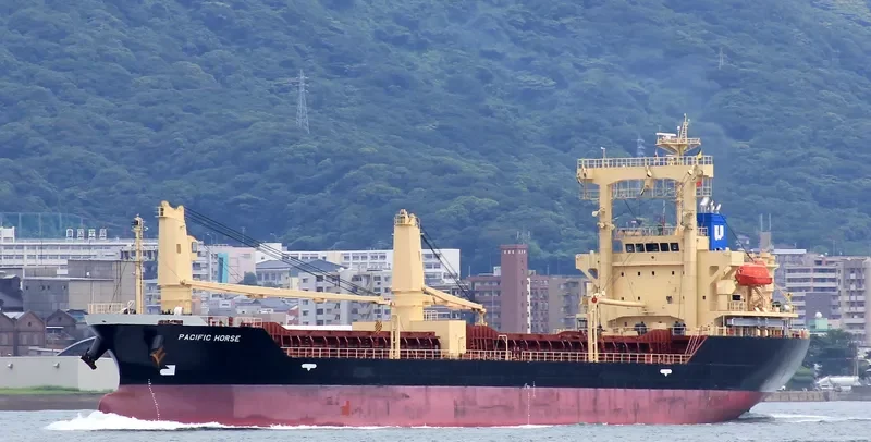 PACIFIC HORSE General Cargo IMO 9694878 photo 7