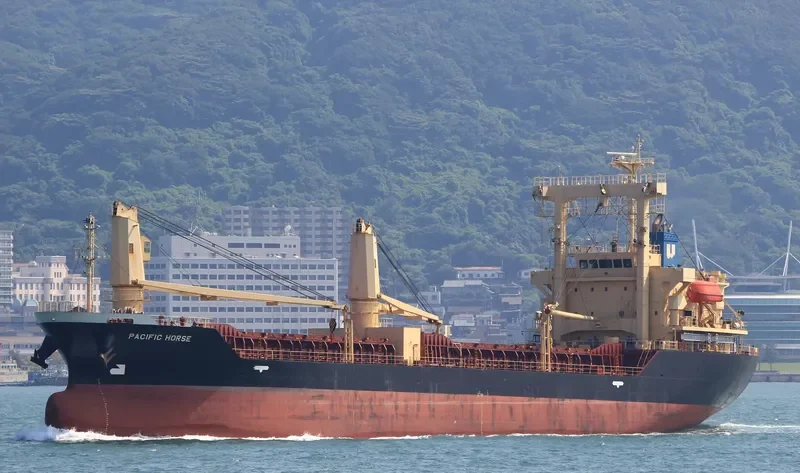 PACIFIC HORSE General Cargo IMO 9694878 photo 8