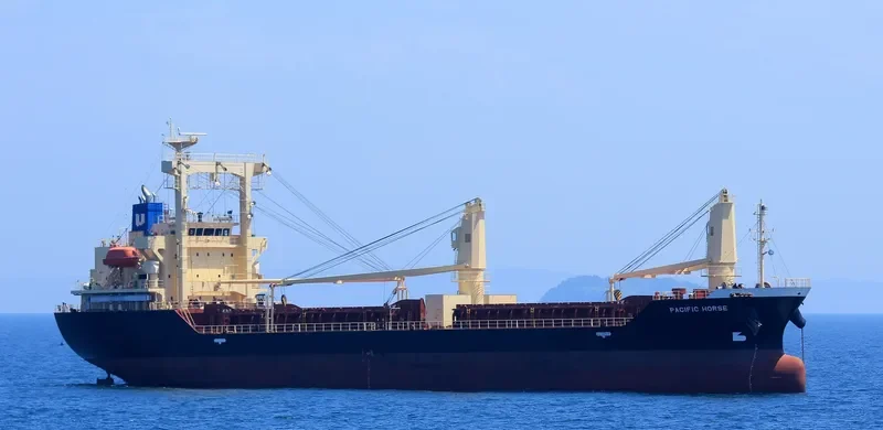 PACIFIC HORSE General Cargo IMO 9694878 photo 9