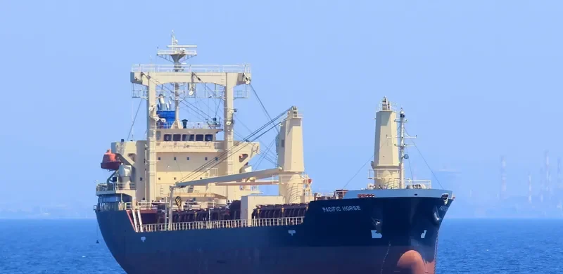 PACIFIC HORSE General Cargo IMO 9694878 photo 10